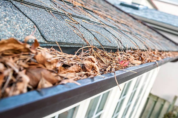 The Importance of Clean Gutters