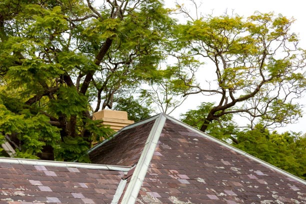 Storm Damage Roof Repair or Restoration in Colorado Springs