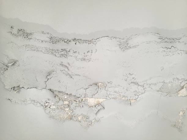 leak from roof damage