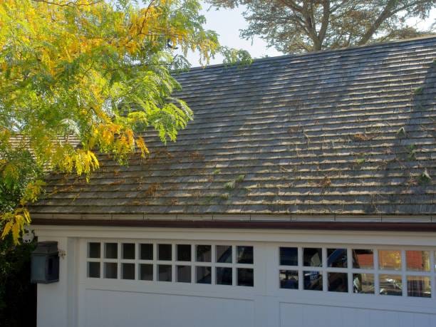 T-Lock Shingle Roof Replacement