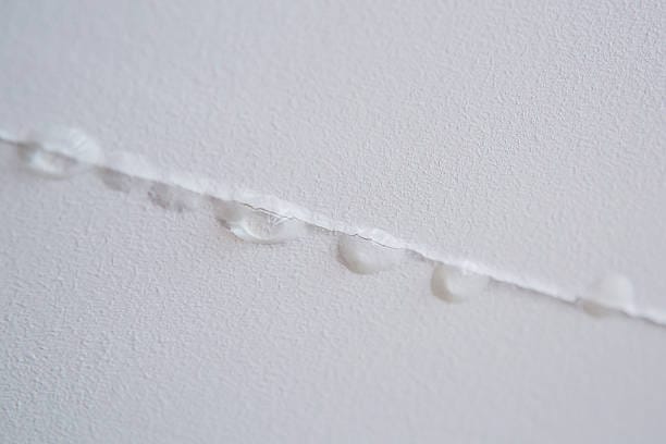 Roof Leaks & Roof Repair Services