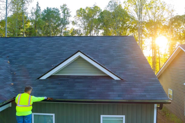 Importance of Professional and Timely Roof Repairs