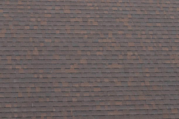 The Zone in Malarkey Shingles